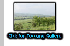 Click for Tuscany Gallery