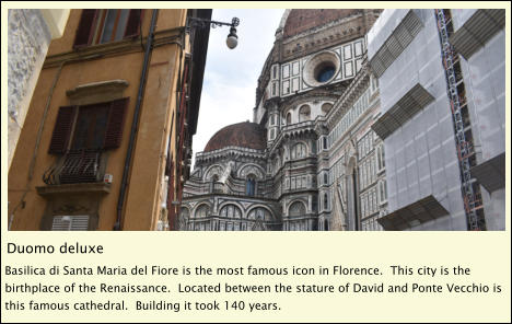 Duomo deluxe Basilica di Santa Maria del Fiore is the most famous icon in Florence.  This city is the birthplace of the Renaissance.  Located between the stature of David and Ponte Vecchio is this famous cathedral.  Building it took 140 years.