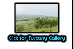 Click for Tuscany Gallery