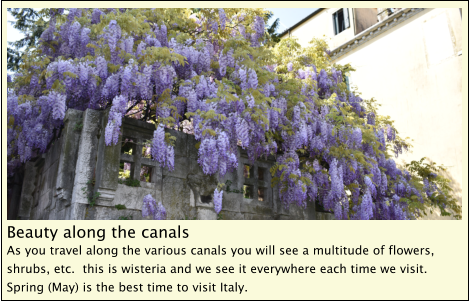 Beauty along the canals As you travel along the various canals you will see a multitude of flowers, shrubs, etc.  this is wisteria and we see it everywhere each time we visit.  Spring (May) is the best time to visit Italy.