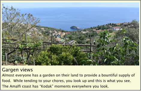 Gargen views Almost everyone has a garden on their land to provide a bountiful supply of food.  While tending to your chores, you look up and this is what you see.  The Amalfi coast has “Kodak” moments everywhere you look.