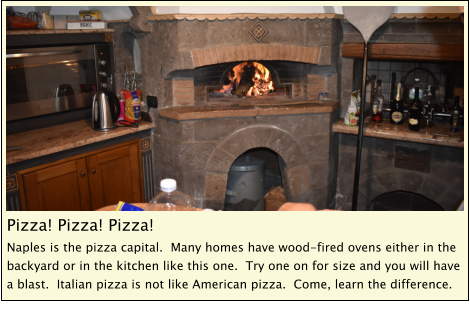 Pizza! Pizza! Pizza! Naples is the pizza capital.  Many homes have wood-fired ovens either in the backyard or in the kitchen like this one.  Try one on for size and you will have a blast.  Italian pizza is not like American pizza.  Come, learn the difference.